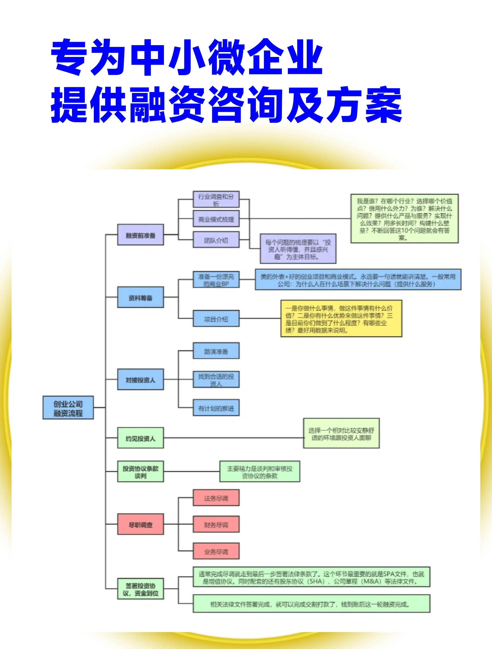 邵阳市宠物企业资金管理(宠物管理机构叫什么)