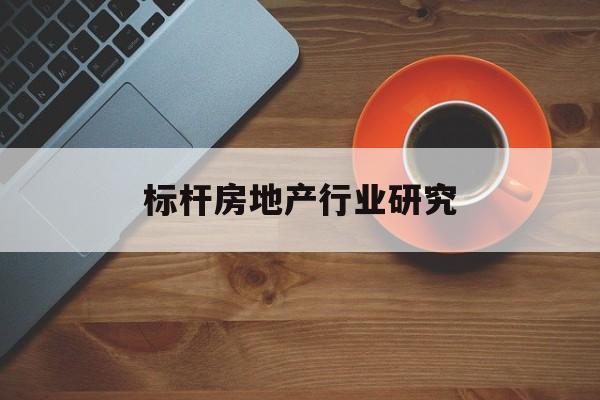 邵阳市标杆房地产行业研究(房地产领域的标杆人物)
