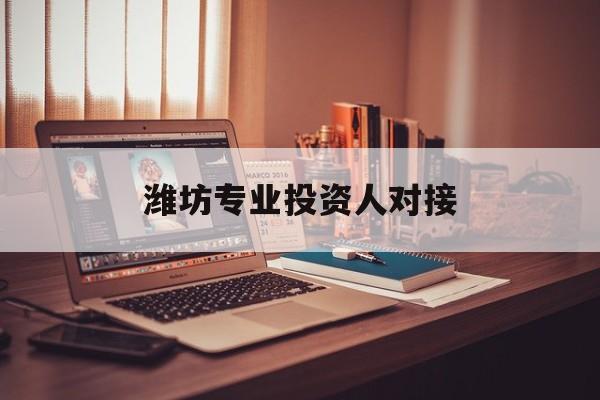 邵阳市潍坊专业投资人对接(潍坊专业投资人对接中心)