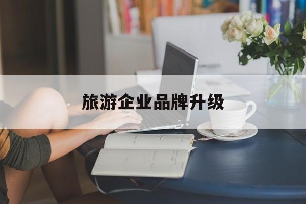 邵阳市旅游企业品牌升级(旅游企业品牌升级措施)