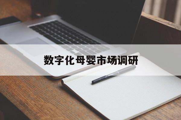 邵阳市数字化母婴市场调研(数字化母婴市场调研报告)